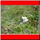 hochturm 2003_23.html